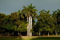 Los Mochis, parque sinaloa